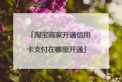 淘宝商家开通信用卡支付在哪里开通