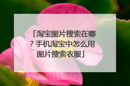 淘宝图片搜索在哪?手机淘宝中怎么用图片搜索衣服