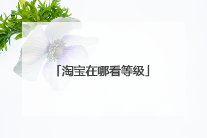 淘宝在哪看等级