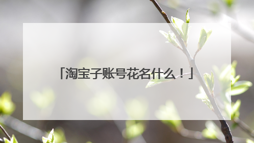 淘宝子账号花名什么！