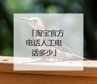淘宝官方电话人工电话多少