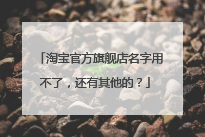 淘宝官方旗舰店名字用不了,还有其他的?