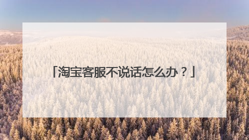 淘宝客服不说话怎么办?