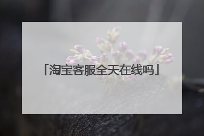 淘宝客服全天在线吗