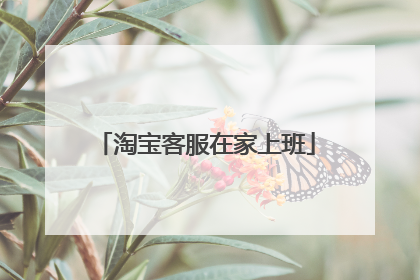 淘宝客服在家上班