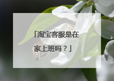 淘宝客服是在家上班吗?