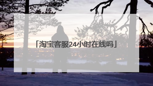 淘宝客服24小时在线吗