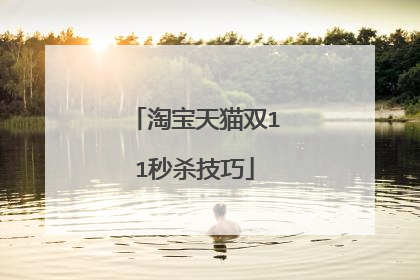 淘宝天猫双11秒杀技巧