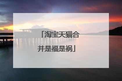 淘宝天猫合并是福是祸