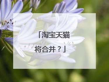 淘宝天猫将合并?