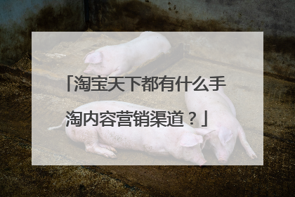淘宝天下都有什么手淘内容营销渠道?