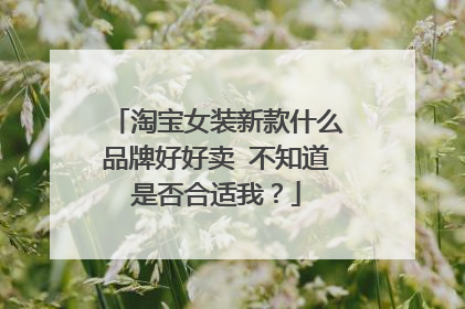 淘宝女装新款什么品牌好好卖 不知道是否合适我?