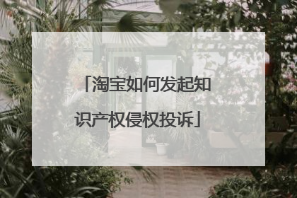 淘宝如何发起知识产权侵权投诉