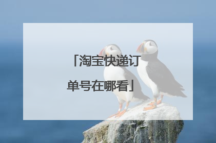 淘宝快递订单号在哪看
