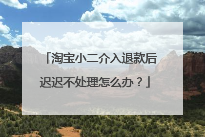 淘宝小二介入退款后迟迟不处理怎么办?