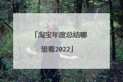 淘宝年度总结哪里看2022