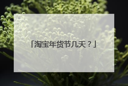 淘宝年货节几天?