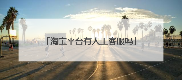 淘宝平台有人工客服吗