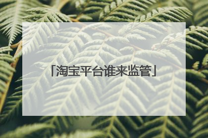 淘宝平台谁来监管