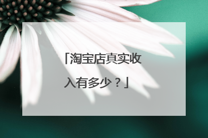 淘宝店真实收入有多少?
