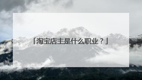 淘宝店主是什么职业?
