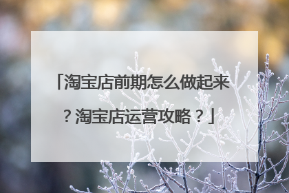 淘宝店前期怎么做起来?淘宝店运营攻略?