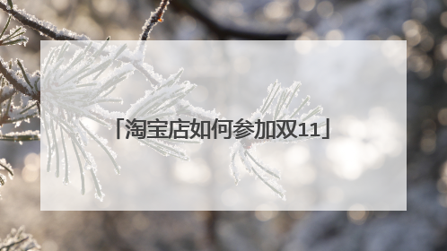 淘宝店如何参加双11