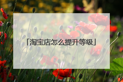 淘宝店怎么提升等级