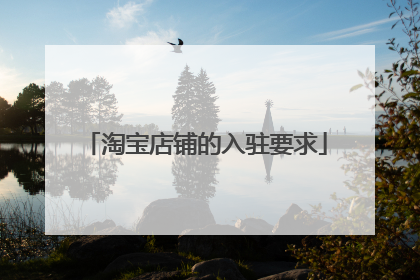 淘宝店铺的入驻要求