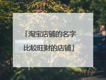 淘宝店铺的名字 比较旺财的店铺