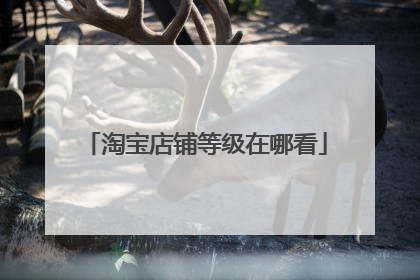 淘宝店铺等级在哪看