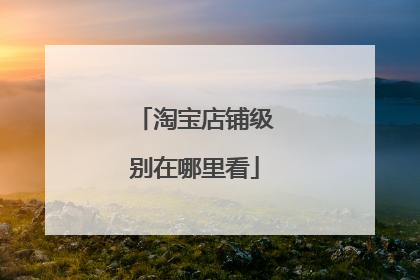 淘宝店铺级别在哪里看
