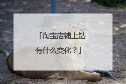 淘宝店铺上钻有什么变化?