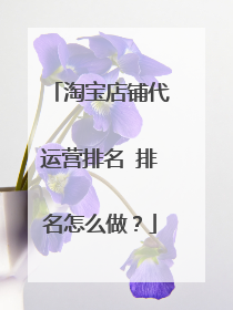 淘宝店铺代运营排名 排名怎么做？