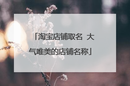 淘宝店铺取名 大气唯美的店铺名称