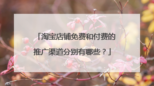 淘宝店铺免费和付费的推广渠道分别有哪些?
