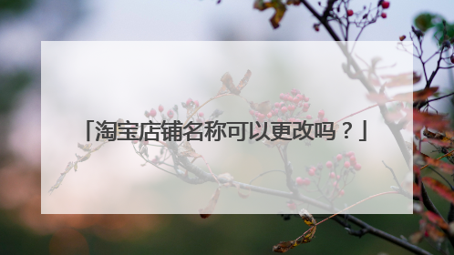 淘宝店铺名称可以更改吗?