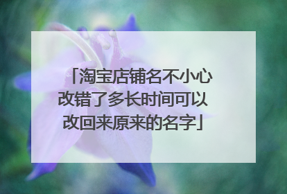 淘宝店铺名不小心改错了多长时间可以改回来原来的名字