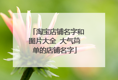 淘宝店铺名字和图片大全 大气简单的店铺名字