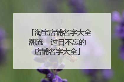 淘宝店铺名字大全潮流 过目不忘的店铺名字大全