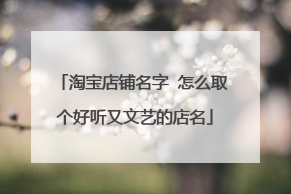 淘宝店铺名字 怎么取个好听又文艺的店名