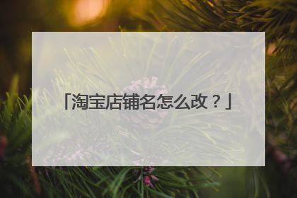 淘宝店铺名怎么改?