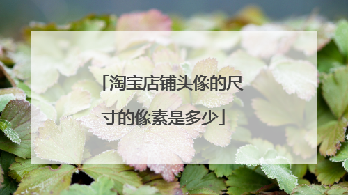 淘宝店铺头像的尺寸的像素是多少