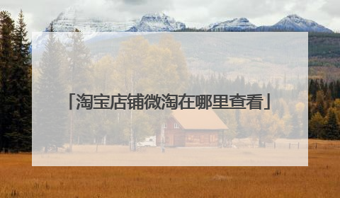 淘宝店铺微淘在哪里查看