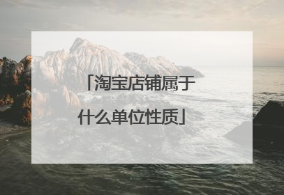 淘宝店铺属于什么单位性质