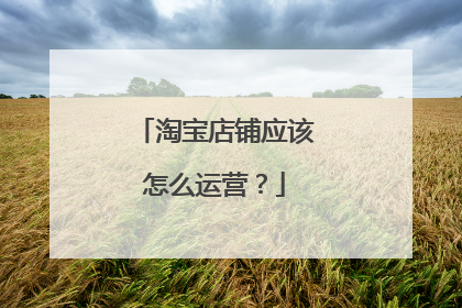 淘宝店铺应该怎么运营?