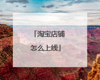 淘宝店铺怎么上线