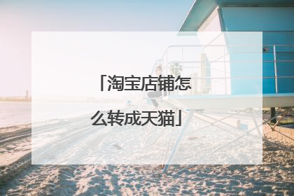 淘宝店铺怎么转成天猫