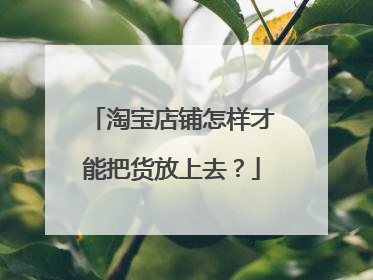 淘宝店铺怎样才能把货放上去?