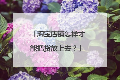 淘宝店铺怎样才能把货放上去？